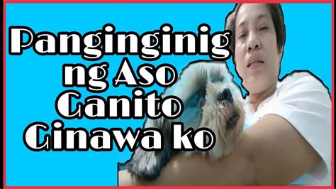 nag pa iyot sa aso|Ganito Kami ni EX Mag SEX Bilang Probinsya Life (Iyutan sa .